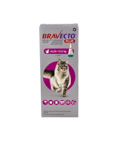 BRAVECTO PLUS 500/25M CAT 6