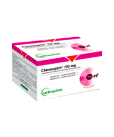 CLAVASEPTIN 750 MG 100C PERRO VETOQUINOL – foto del producto cada clavaseptin 750