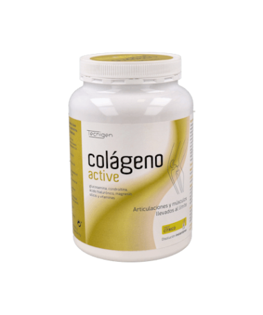 TECNIGEN COLAGENO ACTIV 450 GR – foto del producto cada tecnigen colageno