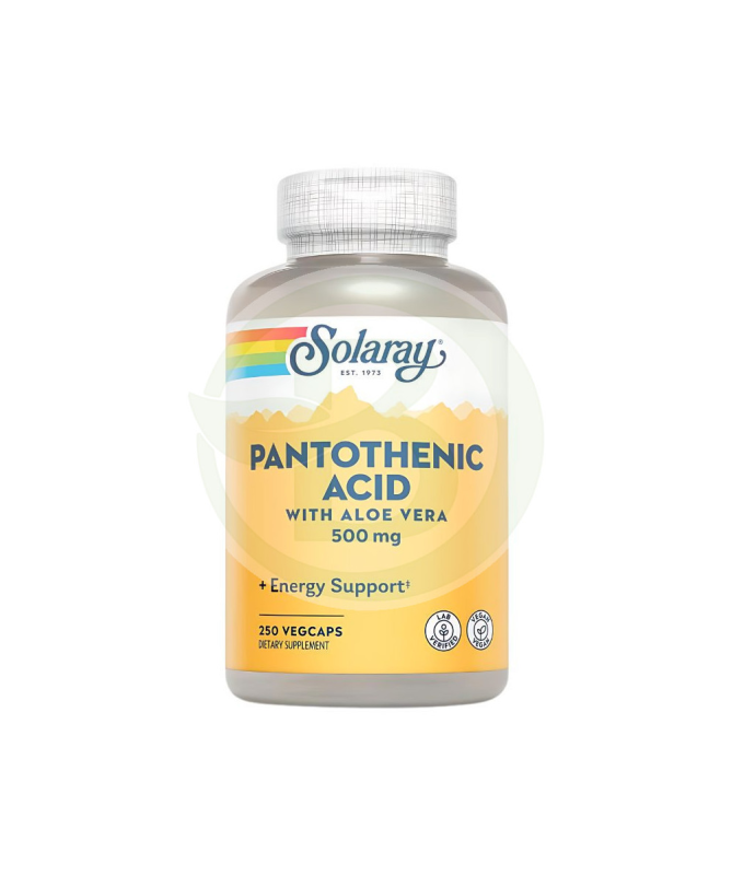 ACIDO PANTOTHENIC 500MG 100CAP – foto del producto calcio pantotenato ácido