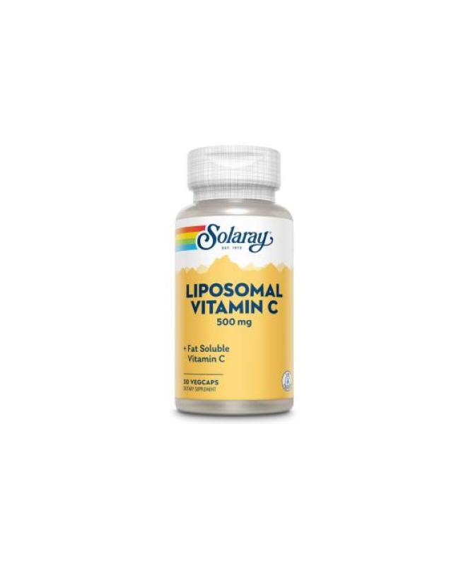 LIPOSOMAL VIT C 500MG 30VCAP – foto del producto ácido liposomal vitamina