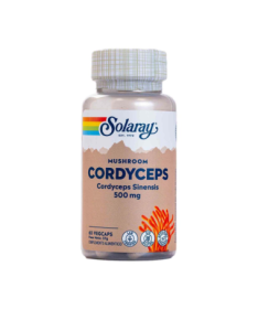 CORDYCEPS EXT 500MG 60CAP – foto del producto cordyceps sinensis estandarizado