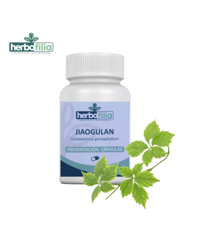 JIAOGULAN 60CAP VEG – foto del producto jiaogulan concentrado arroz