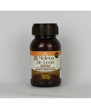 MELENA DE LEON 500MG 60CAP VEG – foto del producto melena hongo león