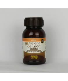 MELENA DE LEON 500MG 60CAP VEG – foto del producto melena hongo león