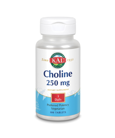 CHOLINE KAL 250MG 100COMP – foto del producto colina bitartrato choline
