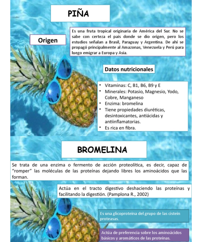 BROMELINA 90CAP – foto del producto bromelina cápsula 000