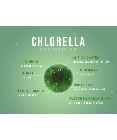 CHLORELLA 300CAP – foto del producto chlorella vegetal 300cap