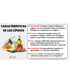 OMEGAMOOD EPA 30PERLAS – foto del producto epa ácido omegamood