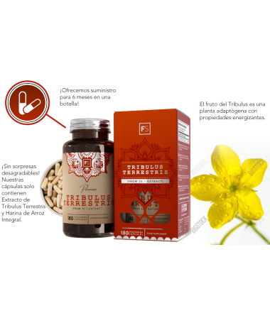 TRIBULUS TERRESTRIS 90CAP – foto del producto tribulus terrestris vegetal