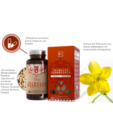 TRIBULUS TERRESTRIS 90CAP – foto del producto tribulus terrestris vegetal