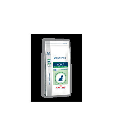 ROYAL VET CANINE ADULT NEUTERED SMALL 1 5KG – foto del producto vitamina proteína ácido