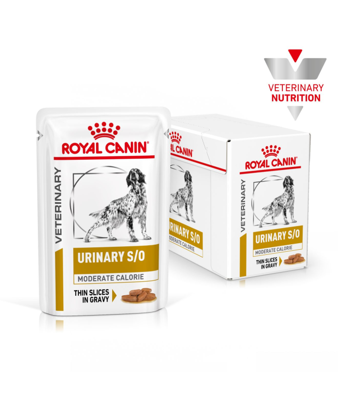 ROYAL VET CANINE URINARY MODERATE CALORIE 1 5KG – foto del producto maíz proteínas fibras