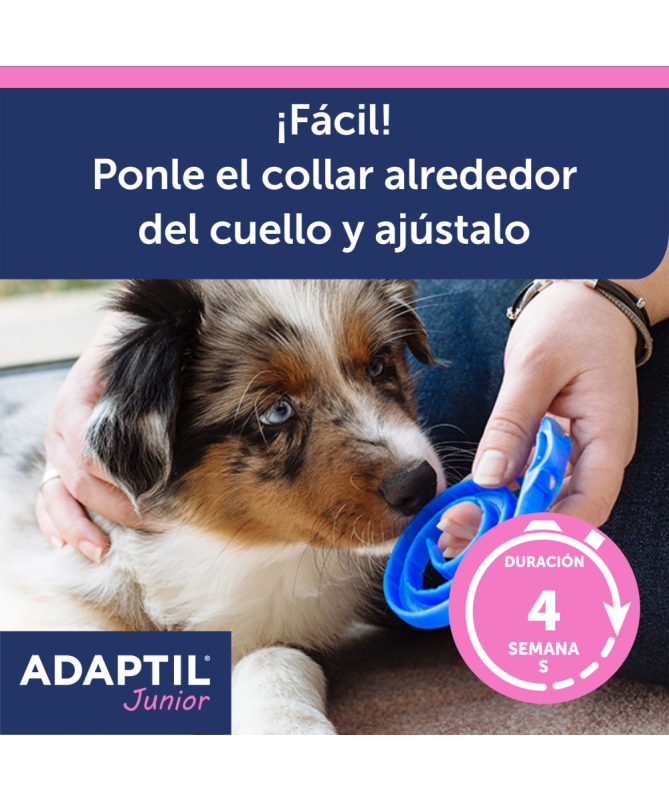 ADAPTIL COLLAR JUNIOR CACHORROS 1UD – foto del producto adaptil collar junior