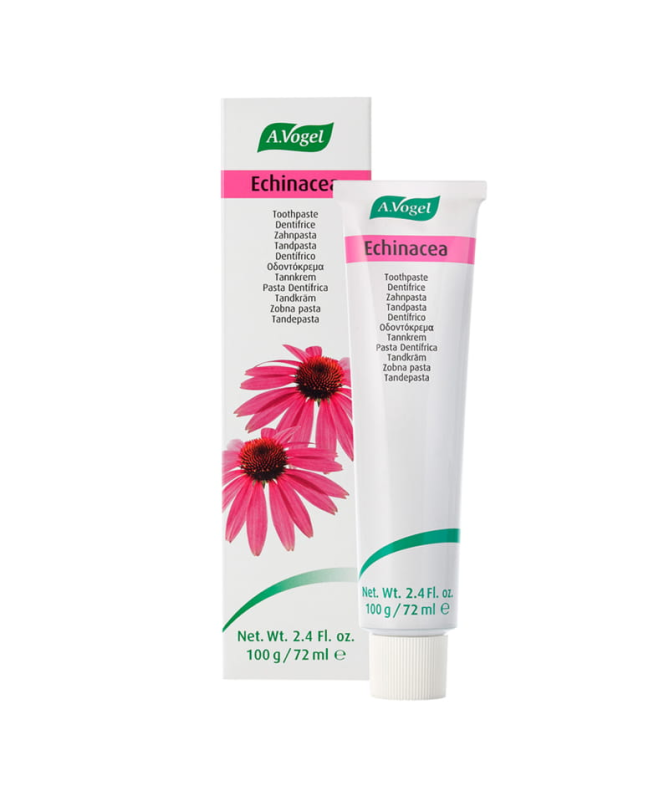 DENTAFORCE ECHINACEA PASTA 100GR – foto del producto echinacea planta fresca