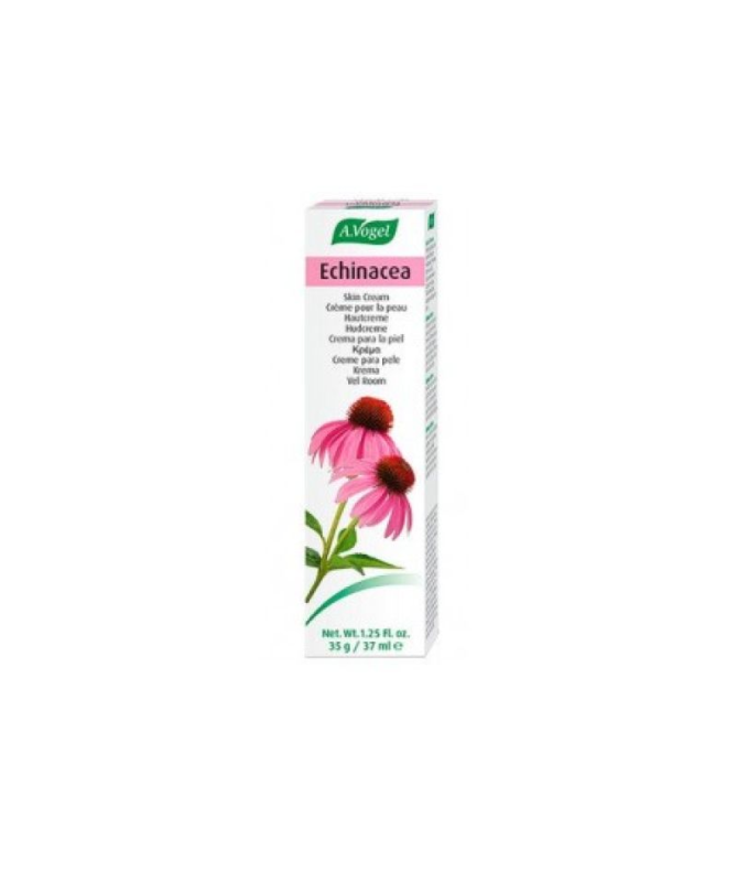 CREMA ECHINACEA 35GR – foto del producto echinacea crema 35gr