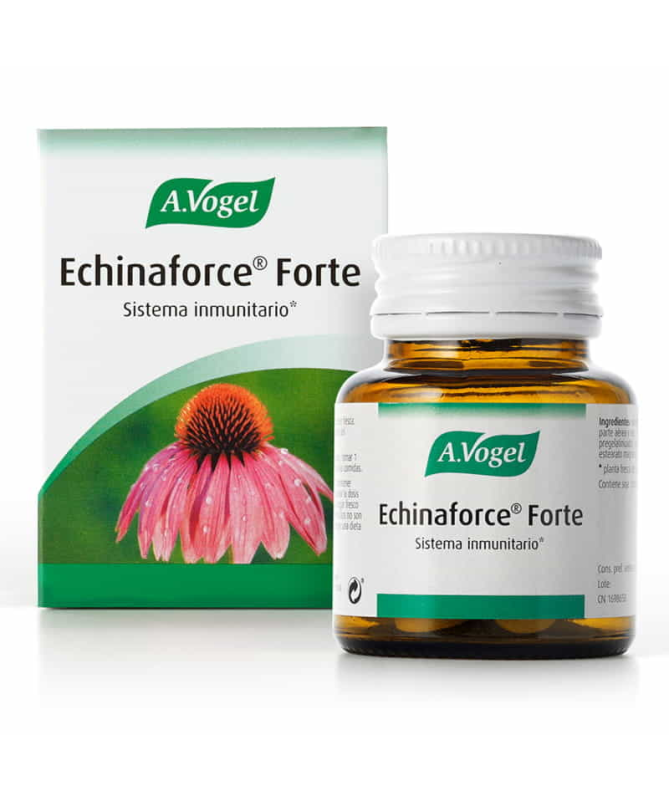 ECHINAFORCE FORTE 30COMP – foto del producto echinacea purpurea lactosa