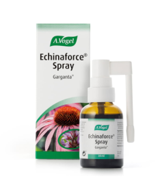 ECHINAFORCE SPRAY 30ML – foto del producto echinacea purpurea salvia