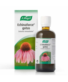 ECHINAFORCE 100ML – foto del producto echinacea purpurea tintura