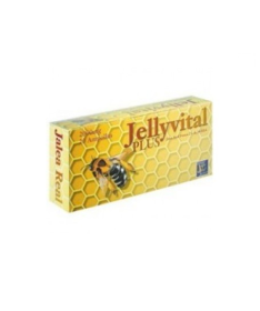 JELLY VITAL PLUS 2000MG DE JALEA 20VIALES – foto del producto jalea jelly vital