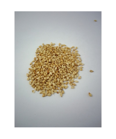 SEMILLA SESAMO TOSTADO 350 GR – foto del producto tostado semilla sesamo