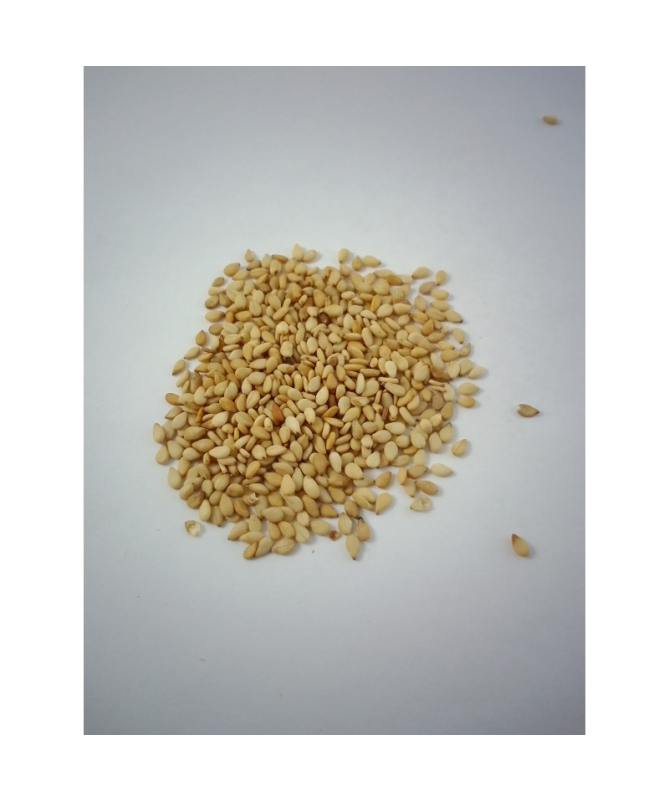 SEMILLA SESAMO TOSTADO 350 GR – foto del producto tostado semilla sesamo