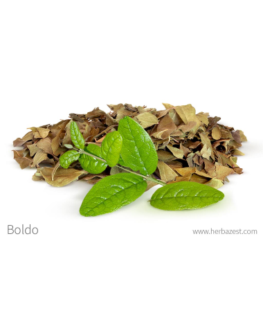 BOLDO HOJA 50 GR – foto del producto tienes contacta nuestro