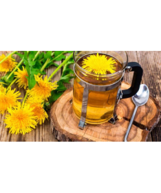 DIENTE DE LEON 40GR PLANTA FITOSOL – foto del producto diente leon 40gr