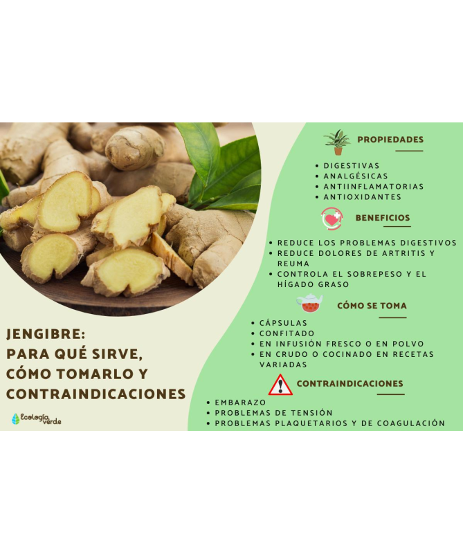 JENGIBRE CORTADO 70 GR – foto del producto tienes contacta nuestro