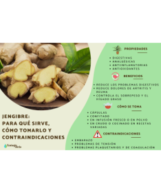 JENGIBRE CORTADO 70 GR – foto del producto tienes contacta nuestro