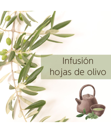 OLIVO HOJA 70 GR – foto del producto tienes contacta nuestro