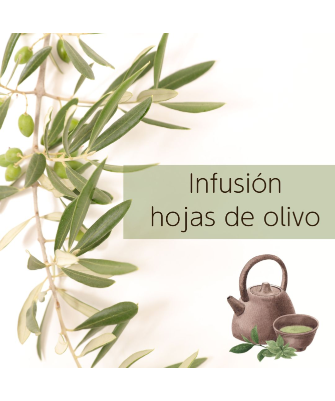 OLIVO HOJA 70 GR – foto del producto tienes contacta nuestro
