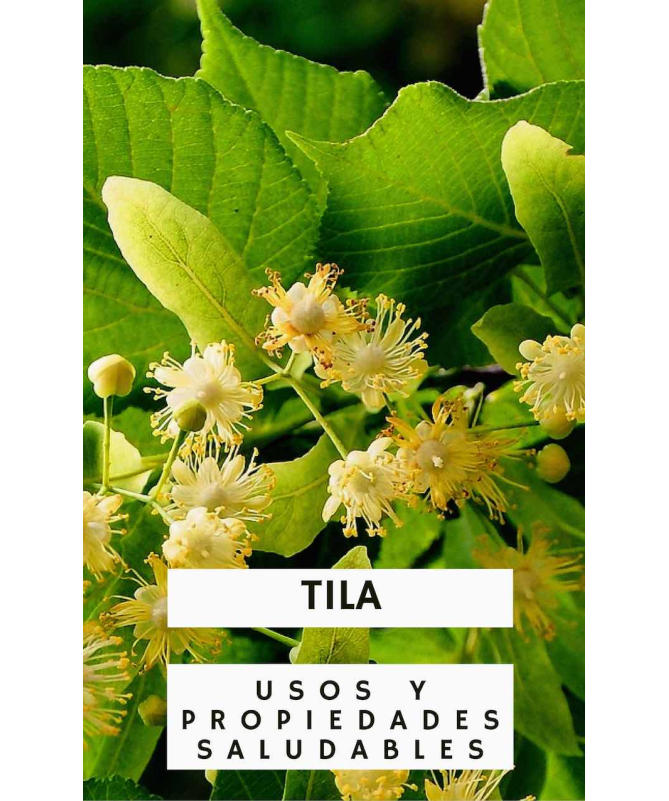 TILA FLOR 50 GR – foto del producto tienes contacta nuestro