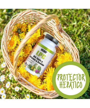 WEIDER LPC PROTECTOR HEPATICO 90CAP – foto del producto extracto 300 semillas