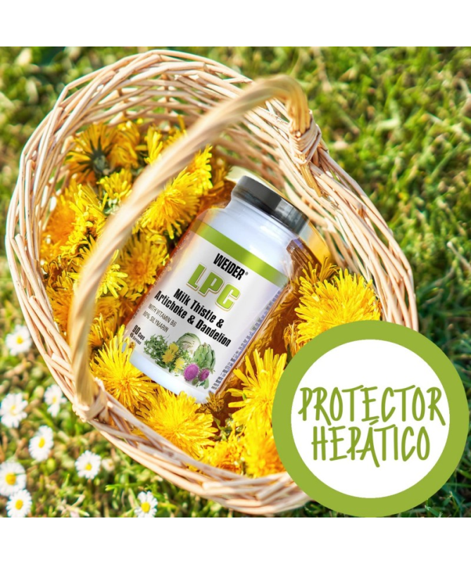 WEIDER LPC PROTECTOR HEPATICO 90CAP – foto del producto extracto 300 semillas