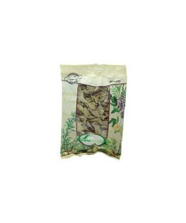 BOLDO BOLSA 40GR – foto del producto boldo bolsa 40gr