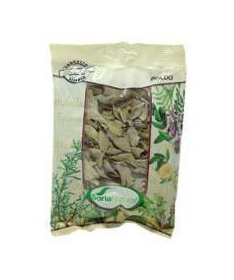 BOLDO BOLSA 40GR – foto del producto boldo bolsa 40gr