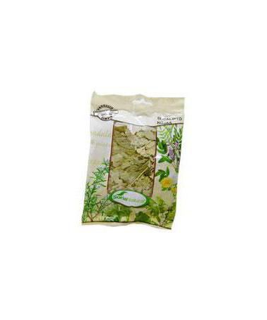 EUCALIPTO HOJAS BOLSA 70GR – foto del producto eucalipto hojas bolsa