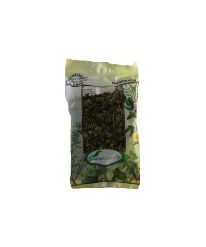 PULMONARIA BOLSA 25GR – foto del producto pulmonaria bolsa 25gr