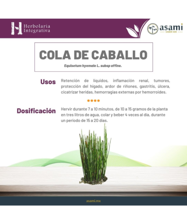 EXT COLA DE CABALLO XXI 50ML S AL – foto del producto cola caballo ciclodextrinas