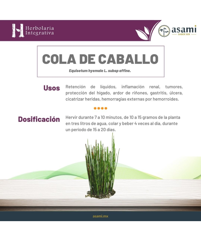 EXT COLA DE CABALLO XXI 50ML S AL – foto del producto cola caballo ciclodextrinas