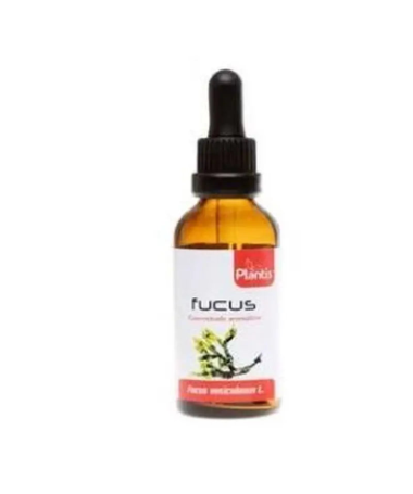 EXT FUCUS XXI 50ML S AL – foto del producto fucus 300 ext