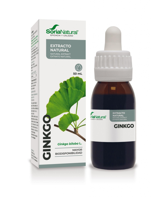 EXT GINKGO BILOBA XXI 50ML S AL – foto del producto ginkgo biloba 120
