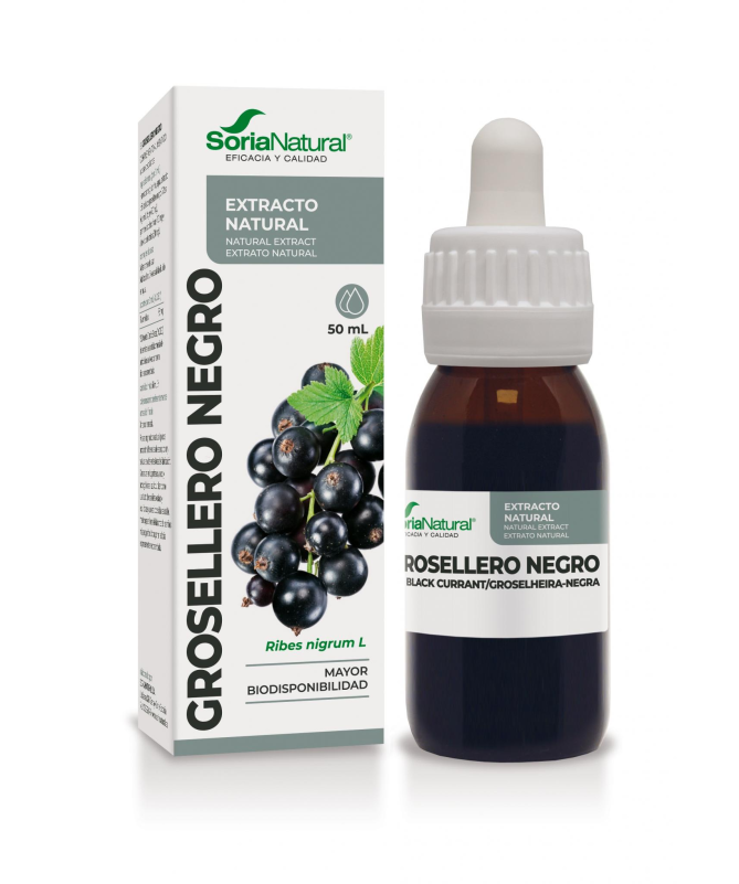EXT GROSELLERO NEGRO XXI 50ML S AL – foto del producto grosellero negro ciclodextrinas