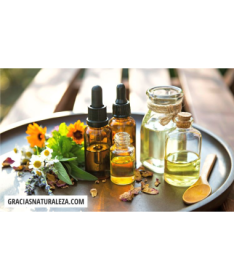 ABDOGRAS 28COMPR – foto del producto seco extracto hojas