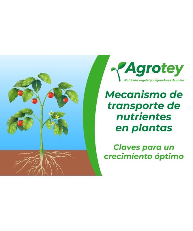 ASTAXANSOR 30DRAGEIAS – foto del producto perla aceite extracto