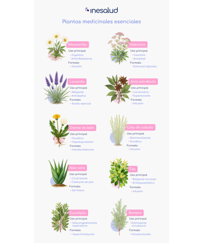 NOFLASOR 28COMP – foto del producto extracto estabilizante celulosa