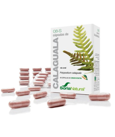 CAP S 08 CALAGUALA XXI 30CAP – foto del producto calaguala cap xxi