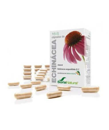 CAP S 16 ECHINACEA XXI 30CAP – foto del producto echinacea purpurea 300