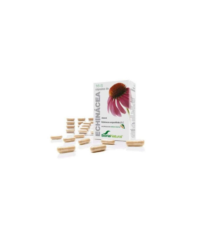 CAP S 16 ECHINACEA XXI 30CAP – foto del producto echinacea purpurea 300